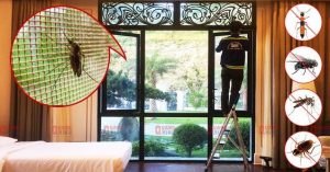Đơn vị cung cấp cửa lưới chống muỗi tại Bình Dương tốt nhất
